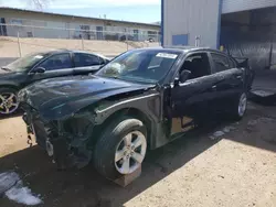 Salvage cars for sale at Albuquerque, NM auction: 2014 Dodge Charger SE