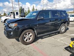 Salvage cars for sale from Copart Rancho Cucamonga, CA: 2018 Toyota 4runner SR5