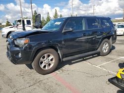 Toyota 4runner salvage cars for sale: 2018 Toyota 4runner SR5