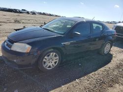 Dodge Avenger salvage cars for sale: 2013 Dodge Avenger SE