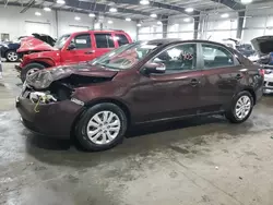 Salvage cars for sale at Ham Lake, MN auction: 2010 KIA Forte EX