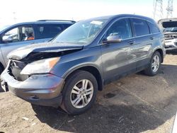 2011 Honda CR-V EXL for sale in Elgin, IL