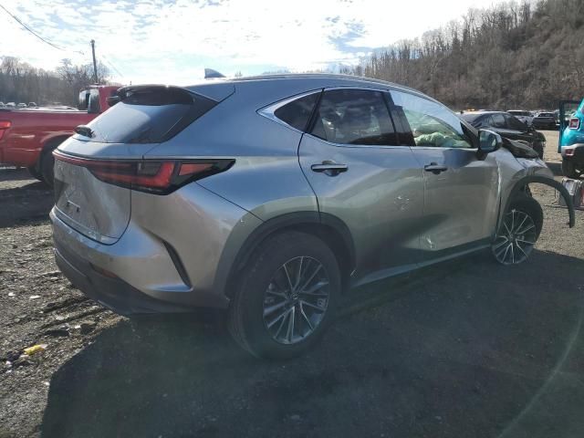 2023 Lexus NX 350