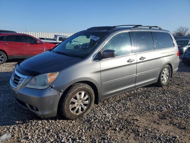 2009 Honda Odyssey EXL