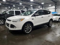 Ford Escape salvage cars for sale: 2015 Ford Escape SE