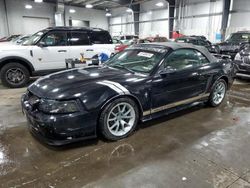 Salvage cars for sale at Ham Lake, MN auction: 2002 Ford Mustang