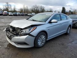 2016 Hyundai Sonata Hybrid for sale in Portland, OR