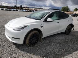 Salvage cars for sale at Mentone, CA auction: 2021 Tesla Model Y