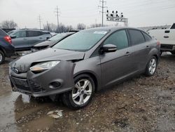 Ford Focus SE salvage cars for sale: 2014 Ford Focus SE