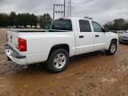 2011 Dodge Dakota SLT