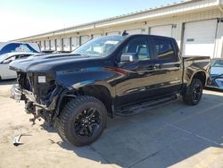 Salvage cars for sale at Louisville, KY auction: 2023 Chevrolet Silverado K1500 LT Trail Boss
