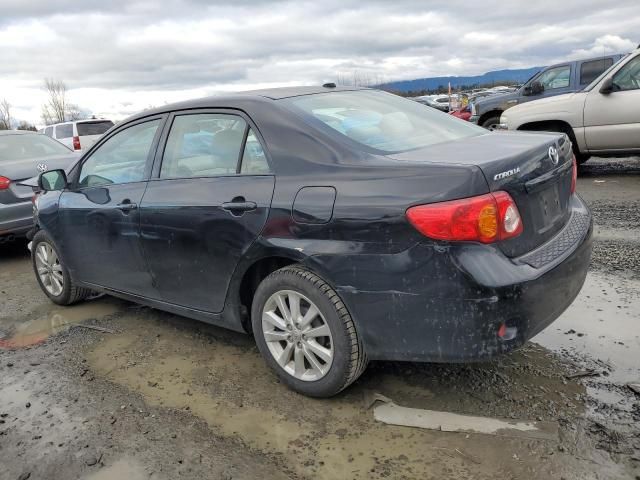 2009 Toyota Corolla Base