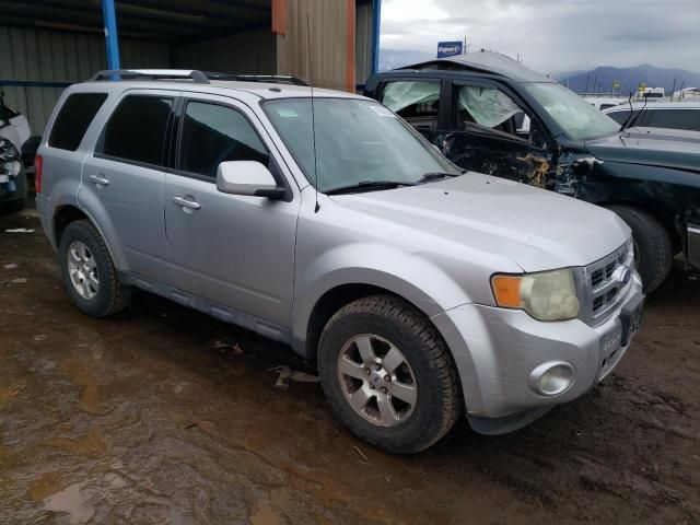 2011 Ford Escape Limited