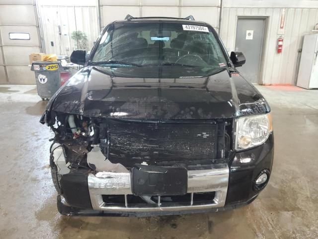 2009 Ford Escape Limited