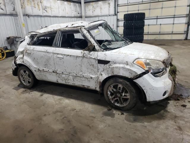 2010 KIA Soul +