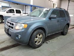 Ford Escape salvage cars for sale: 2011 Ford Escape XLT