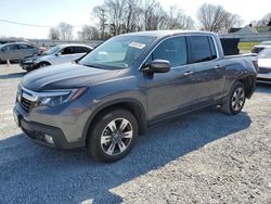 Honda Ridgeline salvage cars for sale: 2019 Honda Ridgeline RTL