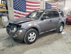 Salvage cars for sale from Copart Columbia, MO: 2012 Ford Escape XLT