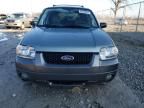 2006 Ford Escape XLT