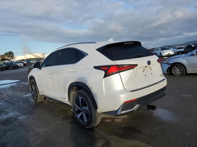 2020 Lexus NX 300H