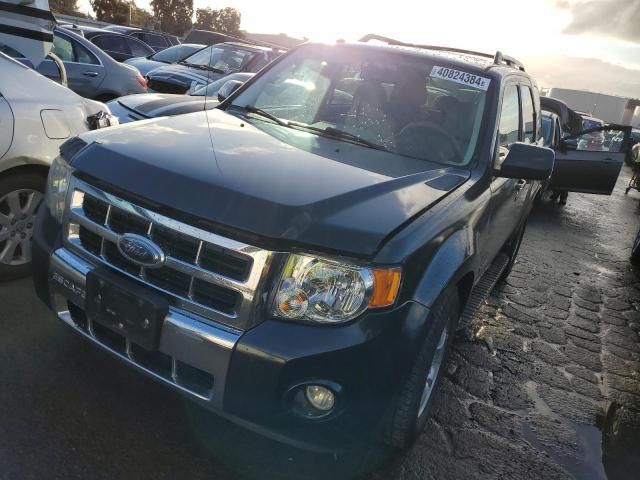 2009 Ford Escape Hybrid