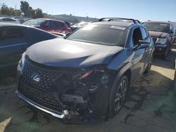 Lexus UX 250H salvage cars for sale: 2020 Lexus UX 250H