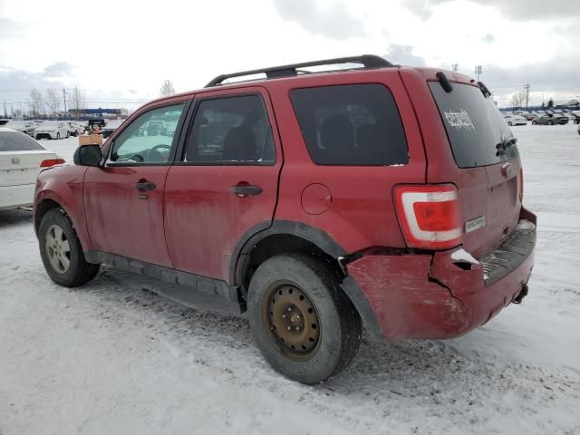 2012 Ford Escape XLT