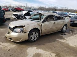 Salvage cars for sale from Copart Louisville, KY: 2006 Chevrolet Malibu LT