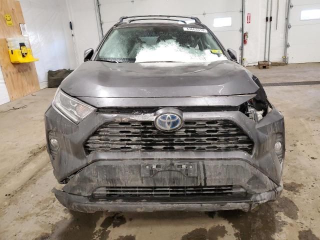 2021 Toyota Rav4 XLE