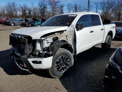 Salvage cars for sale at Marlboro, NY auction: 2023 Nissan Titan SV