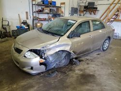 Salvage cars for sale at Ham Lake, MN auction: 2010 Toyota Corolla Base