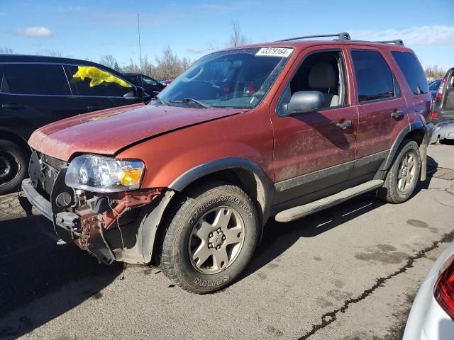 2006 Ford Escape XLT