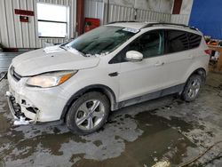 Ford Escape SEL salvage cars for sale: 2013 Ford Escape SEL