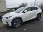 2020 Lexus NX 300