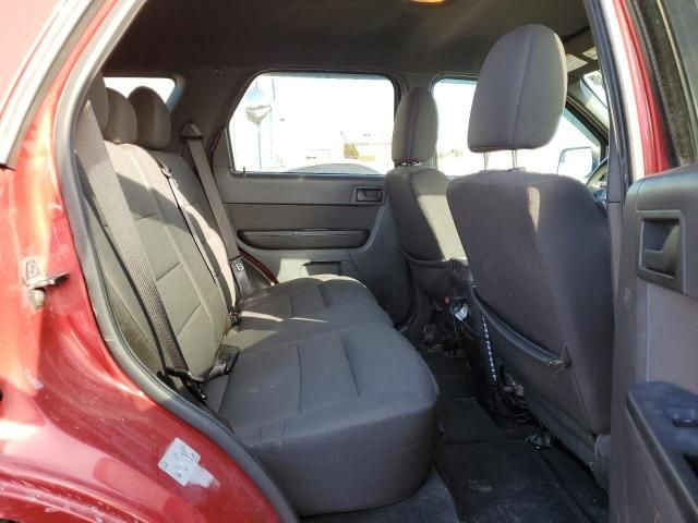 2010 Ford Escape XLT