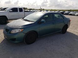 Salvage cars for sale from Copart West Palm Beach, FL: 2009 Toyota Corolla Base