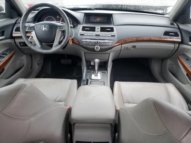 2011 Honda Accord EXL