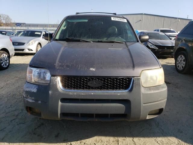 2004 Ford Escape XLT