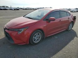 Toyota Corolla salvage cars for sale: 2021 Toyota Corolla LE