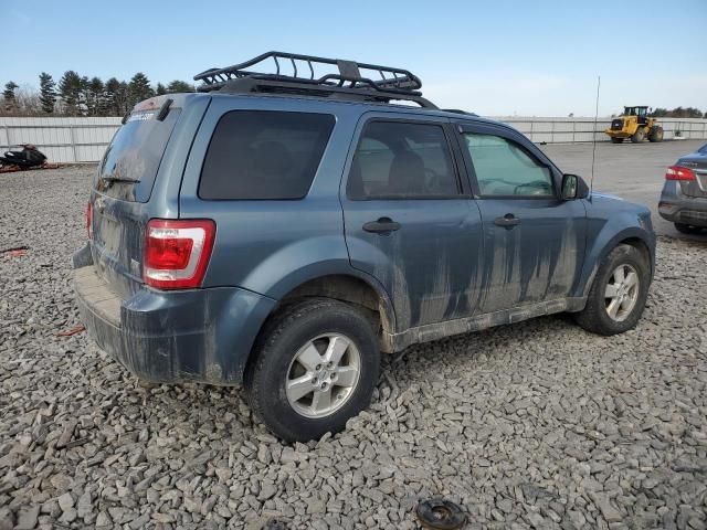 2010 Ford Escape XLT