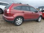 2007 Honda CR-V EXL