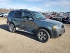 2006 Ford Escape XLT