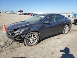 Nissan Maxima S salvage cars for sale: 2010 Nissan Maxima S