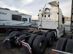 2016 Freightliner Cascadia 113