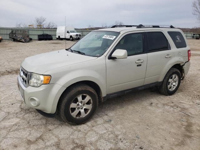 2009 Ford Escape Limited