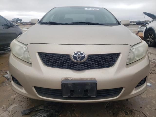 2009 Toyota Corolla Base