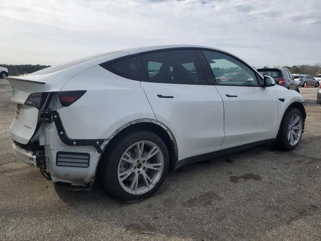 2020 Tesla Model Y