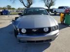 2006 Ford Mustang GT