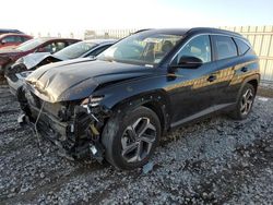 Hyundai Tucson SEL salvage cars for sale: 2023 Hyundai Tucson SEL