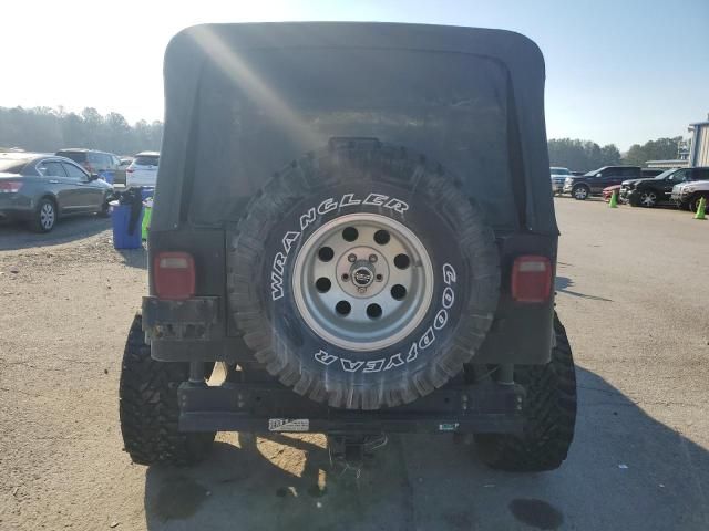 1995 Jeep Wrangler / YJ S